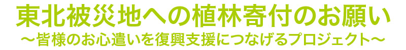 東北被災地への植林寄付