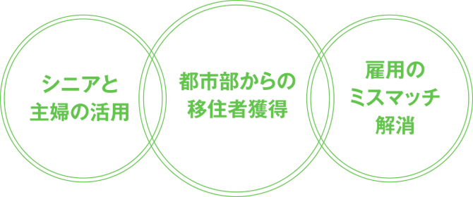 地方の働き手を確保する３つの策